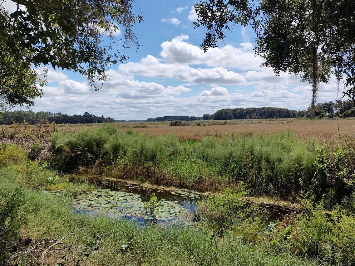 6090 N Bayfront Dr., Hernando, FL 34442