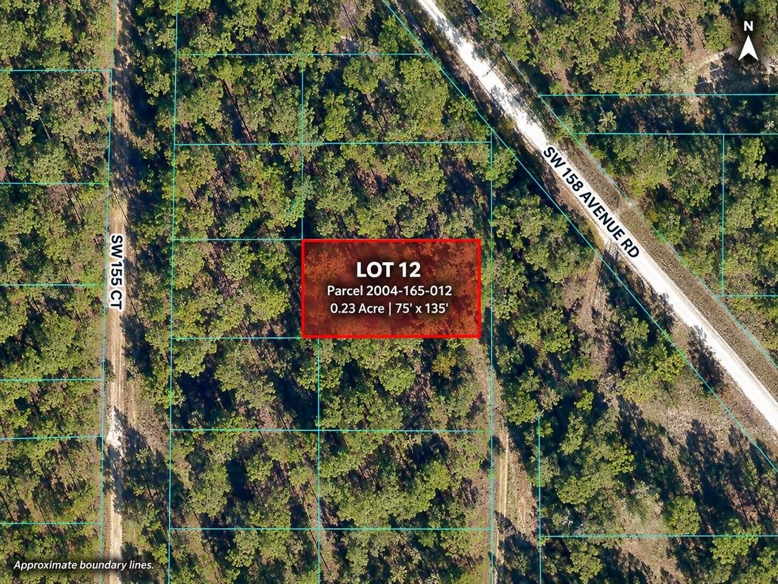 TBD SW 155th Ave., Ocala, FL 34481