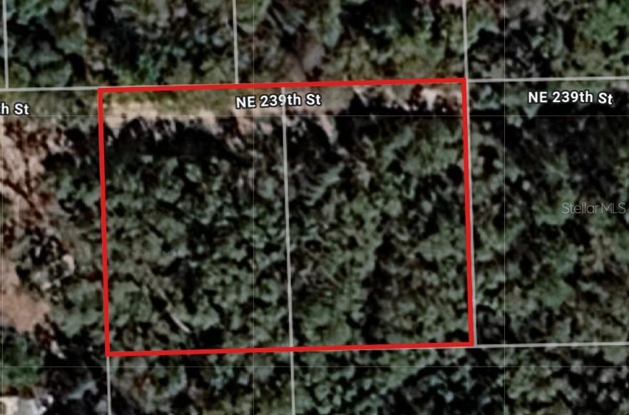 Lot 18 & 19 NE 239th St., Fort Mc Coy, FL 32134