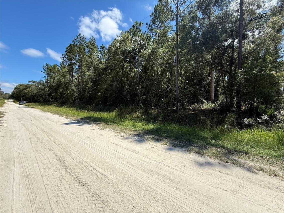 TBD SW 53rd St., Dunnellon, FL 34432