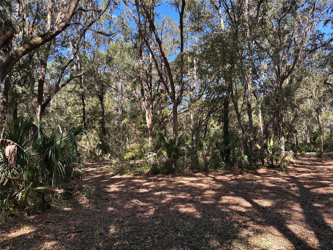11660 NE 225th St., Fort Mc Coy, FL 32134