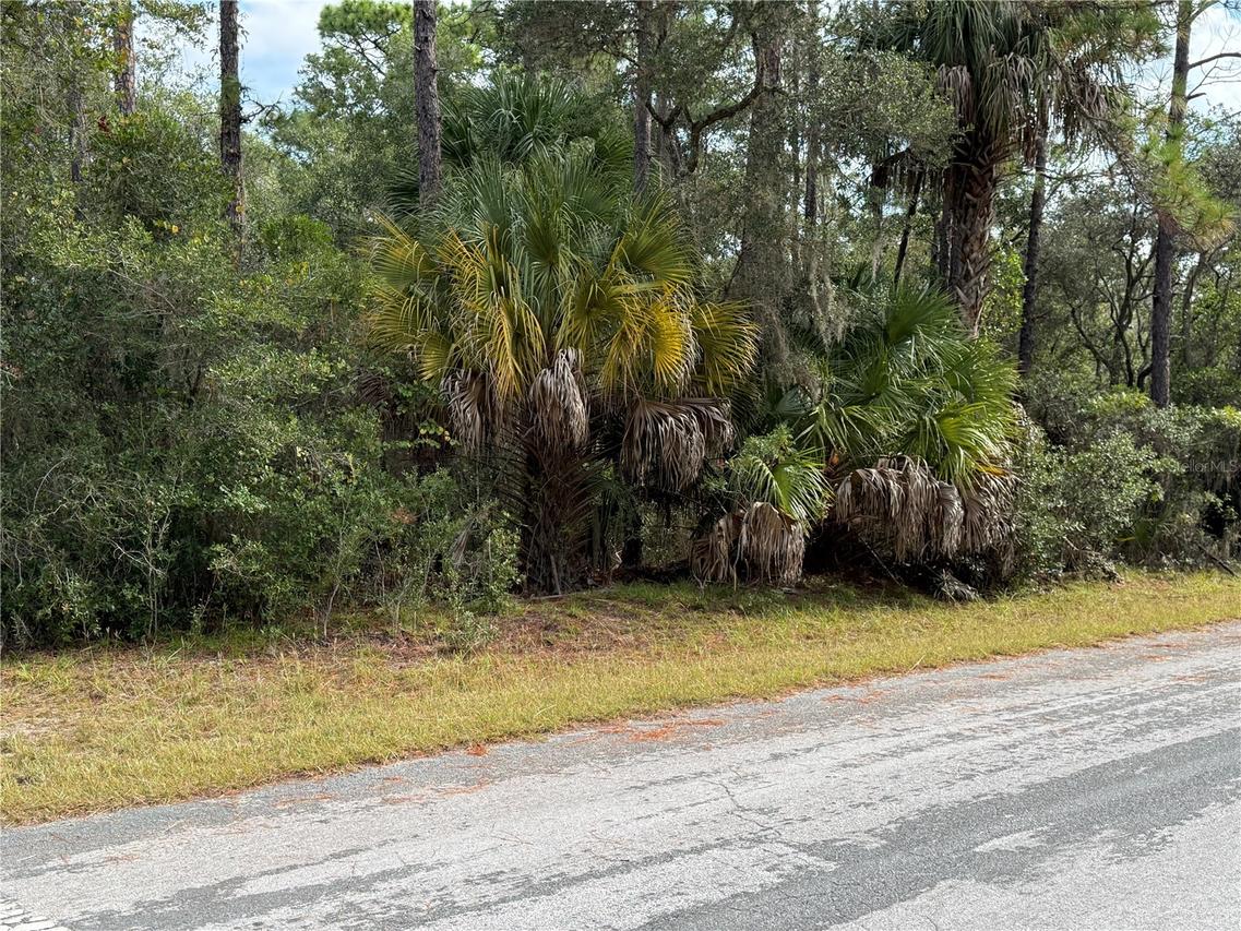 8941 N Star Blaze Dr. #2, Crystal River, FL 34428