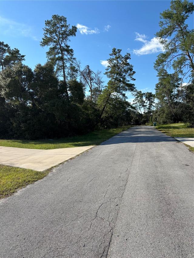 SW 171st St., Ocala, FL 34473