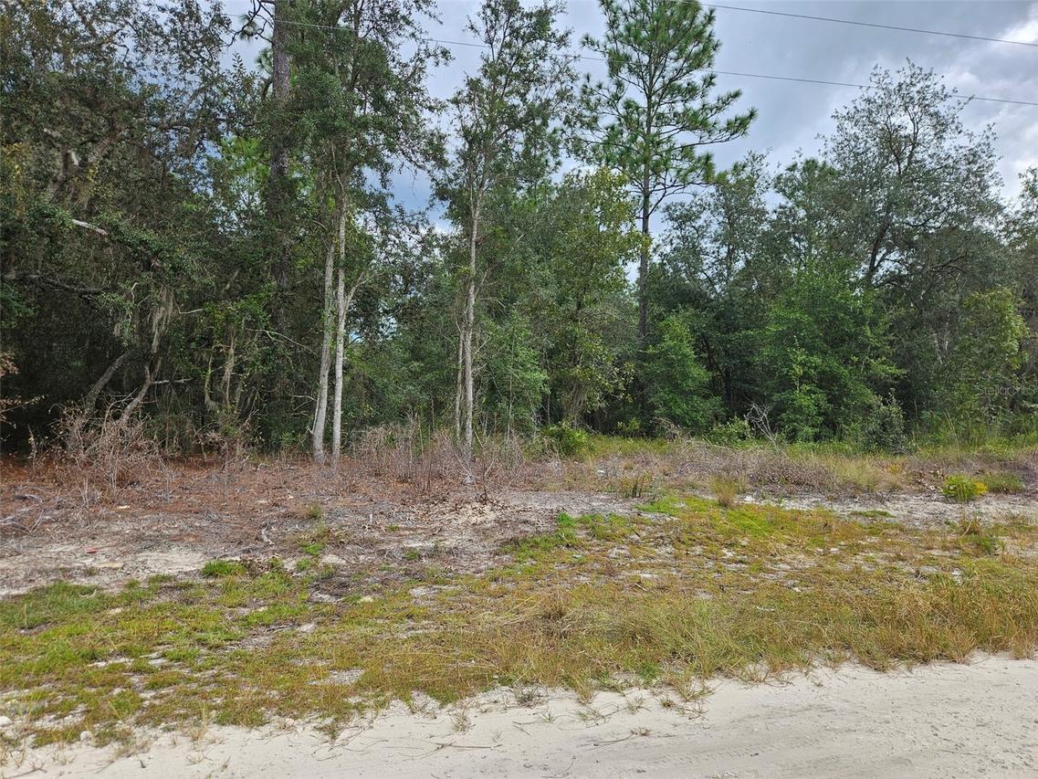 0000 NE 67th St., Bronson, FL 32621