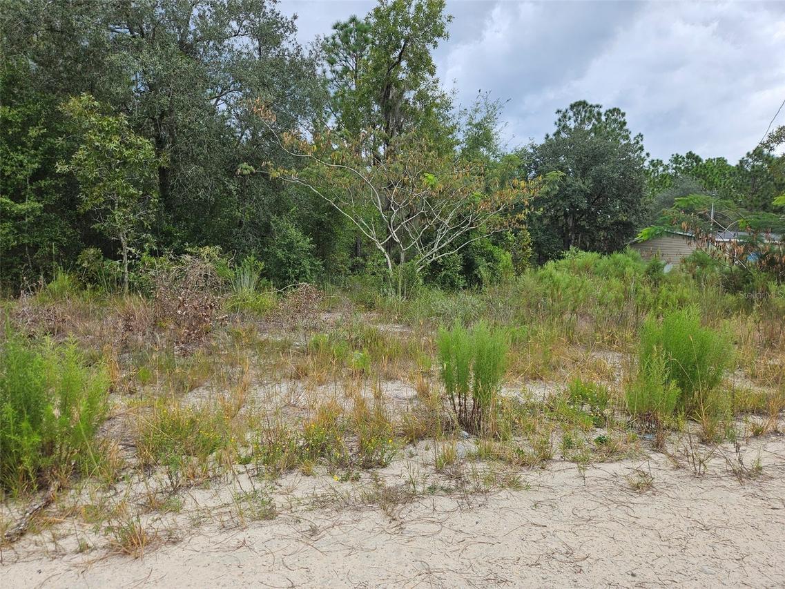 0000 NE 67th St., Bronson, FL 32621