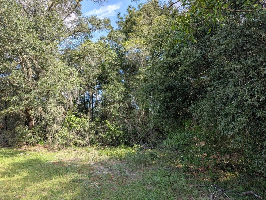 TBD SW 121st Ave., Dunnellon, FL 34432