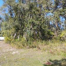 TBD SE 61st Pl., Ocklawaha, FL 32179