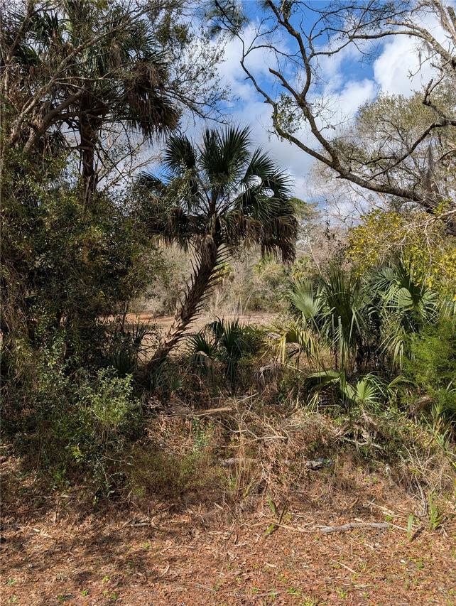 Lorie St., Inglis, FL 34449