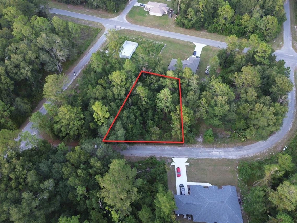 TBD Sequoia Loop Lane, Ocklawaha, FL 32179