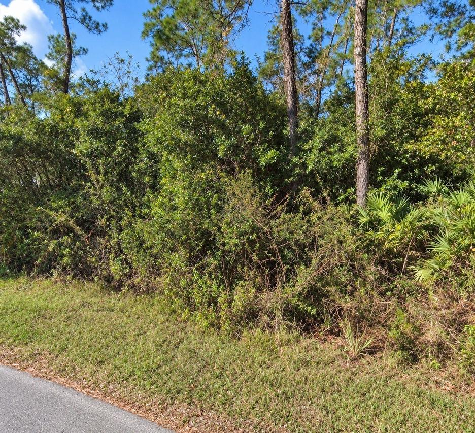 Coon Rd., Astor, FL 32102