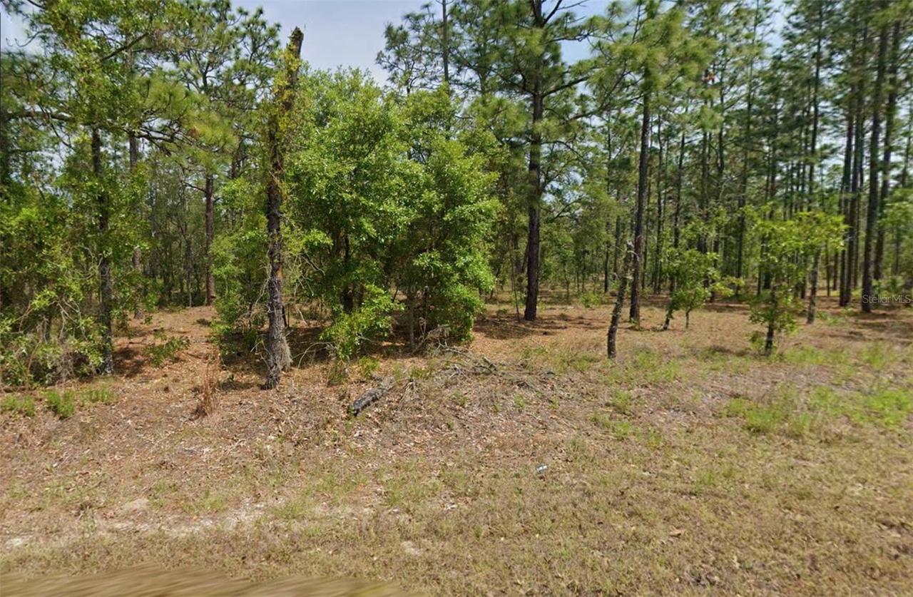 00 NW Columbine Ave., Dunnellon, FL 34431