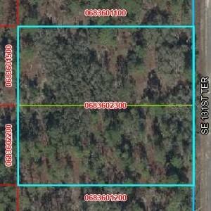 SE 131 Terrace, Dunnellon, FL 34431