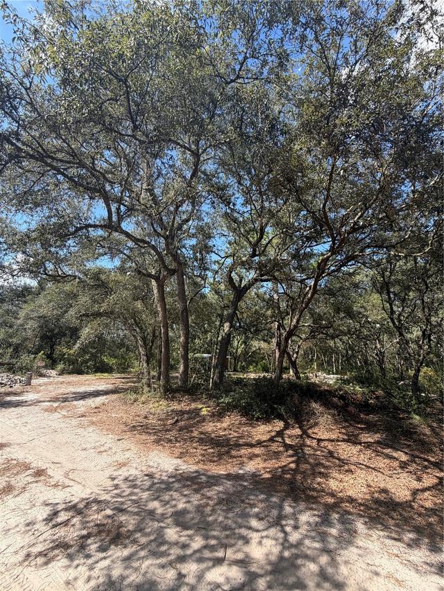 TBD NE 192nd Pl., Fort Mc Coy, FL 32134