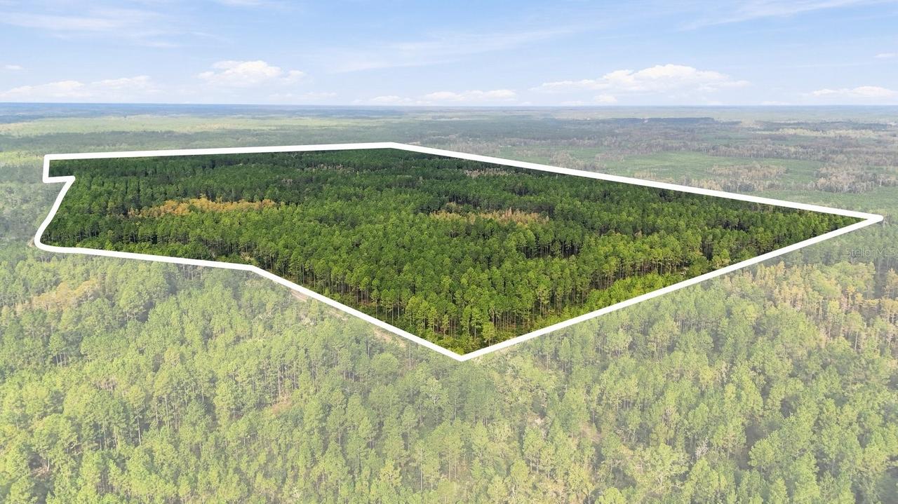 Doc Smith Rd., Bronson, FL 32621