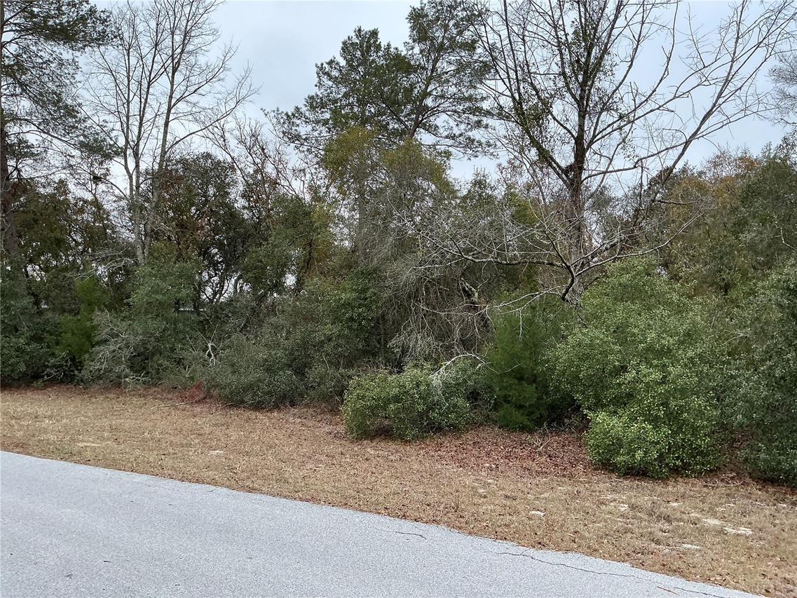 00 SW 137th Loop, Ocala, FL 34473