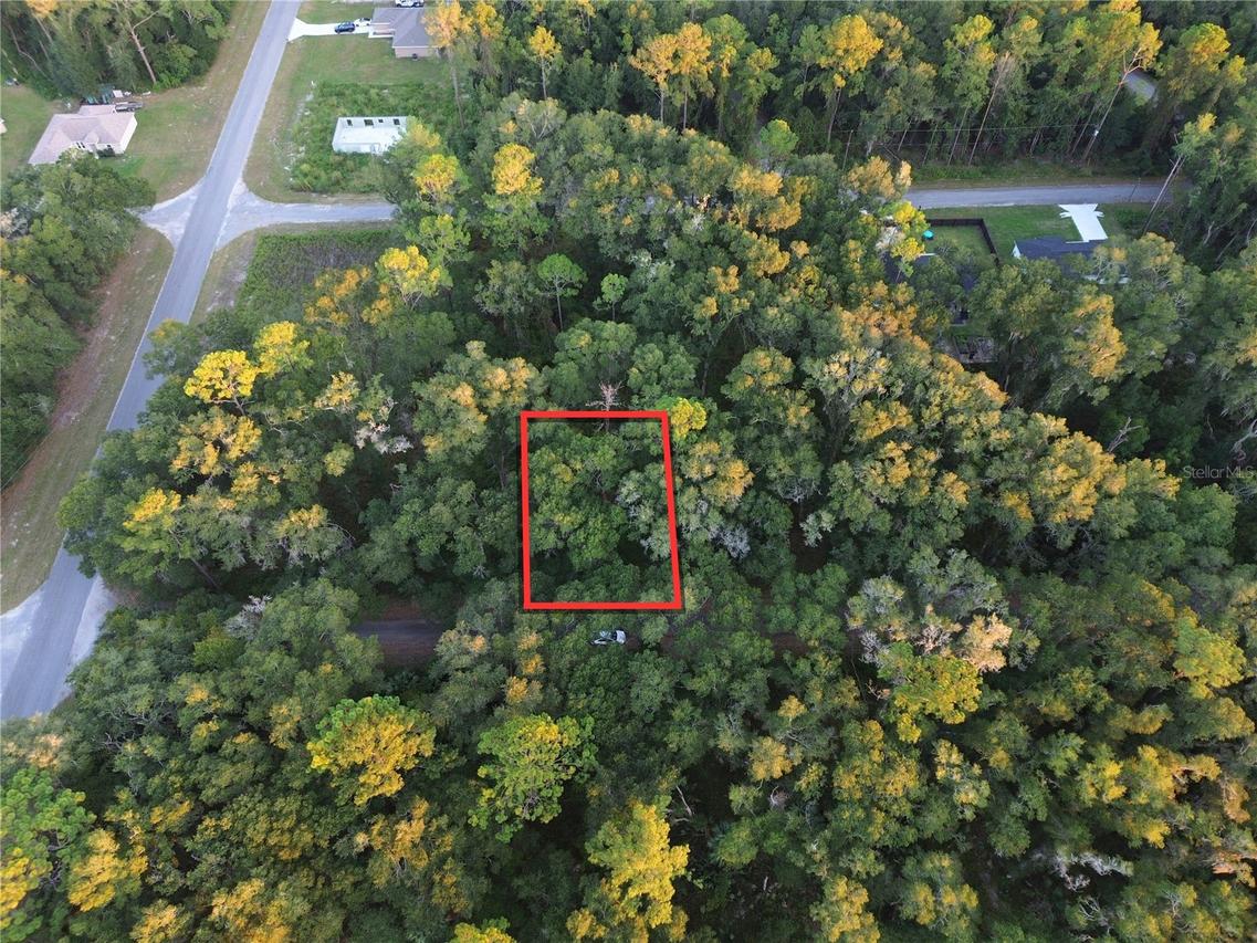 TBD Sequoia Loop Track, Ocklawaha, FL 32179