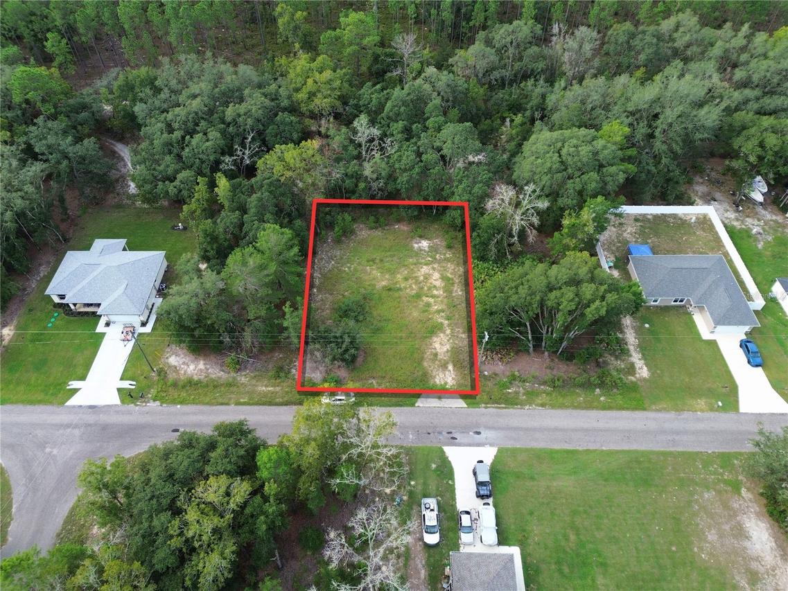 106 Guava Pass Ter., Ocklawaha, FL 32179