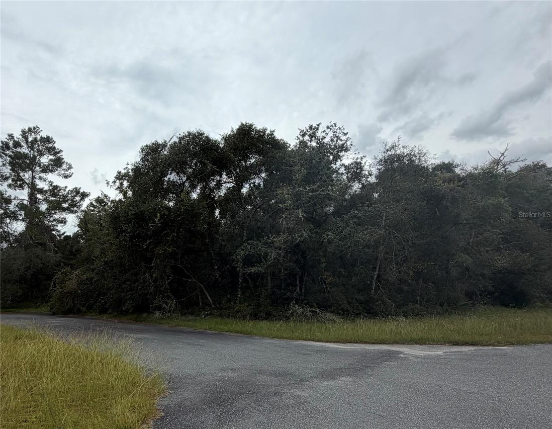 Marion Oaks Gold Way And 38th Ct, Ocala, FL 34473