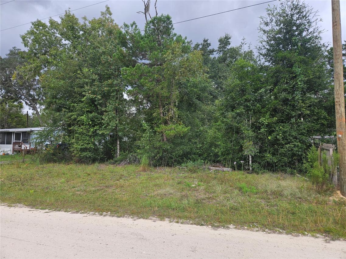 0000 NE 141st Ave., Williston, FL 32696