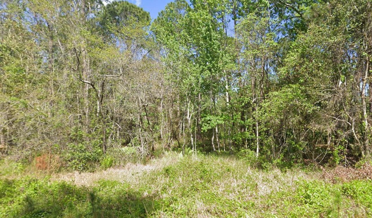 217 Dogwood Ave., Georgetown, FL 32139