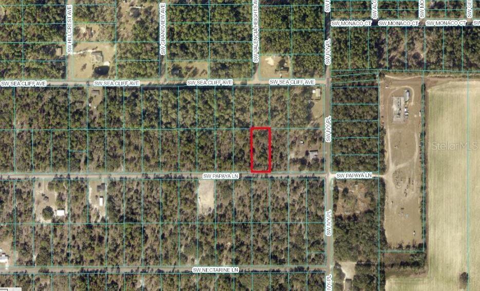 TBD SW Papaya Ln., Dunnellon, FL 34431