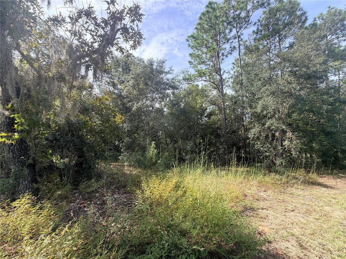5066 E Anna Jo Dr., Inverness, FL 34452