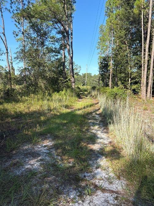 123 Rd Ln., Bronson, FL 32621