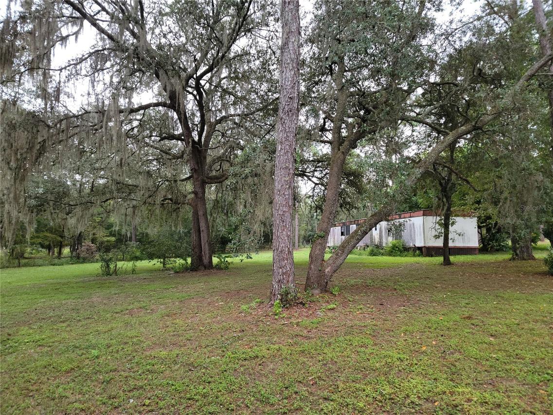 12231 NE 64 Pl., Williston, FL 32696