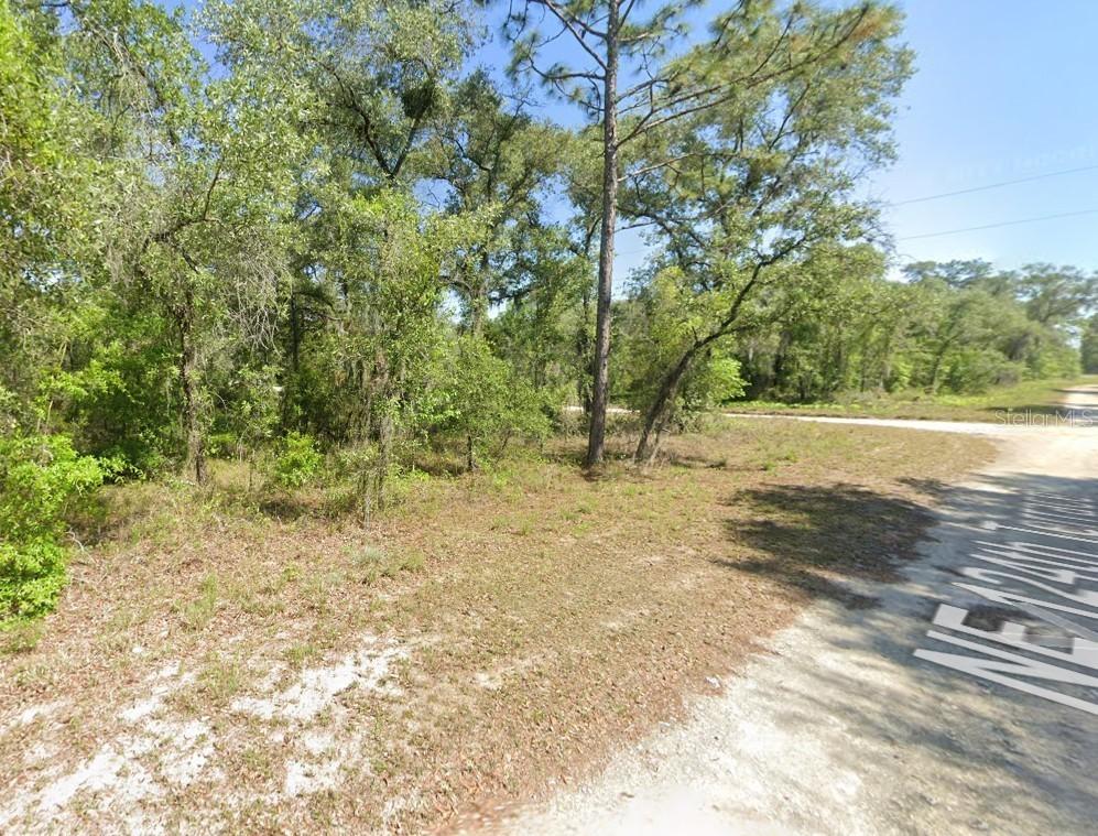 Lot 6 NE 124 St., Williston, FL 32696