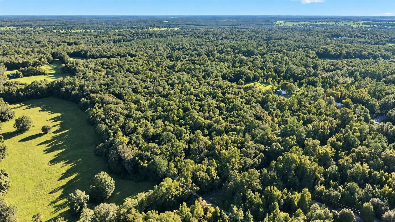 TBD NW 200th St., Micanopy, FL 32667
