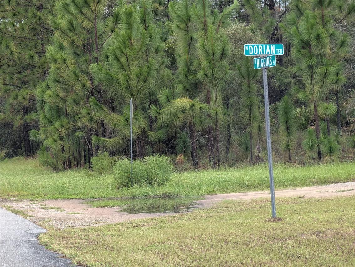 6443 N Dorian Ter., Dunnellon, FL 34433