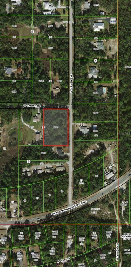 6100 W Carter Rd., Homosassa, FL 34448