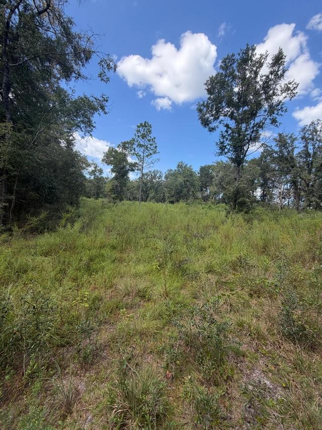 Foxwood, Fort White, FL 32038