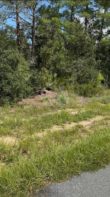 xxx SW 30th Ter Road Rd., Ocala, FL 34473