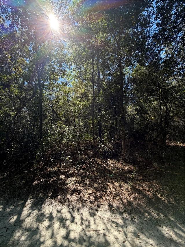 TBD SW 151st Pl., Dunnellon, FL 34432