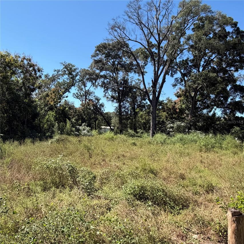 16612 SE 25th Ave., Summerfield, FL 34491