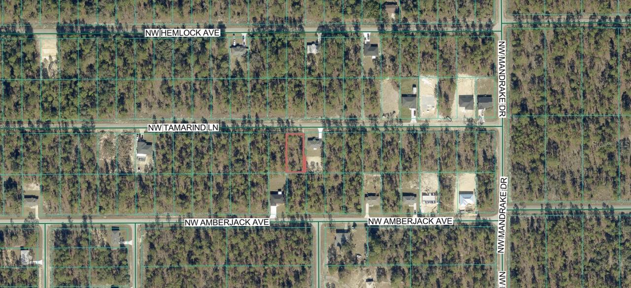 NW Tamarind Ln., Dunnellon, FL 34431