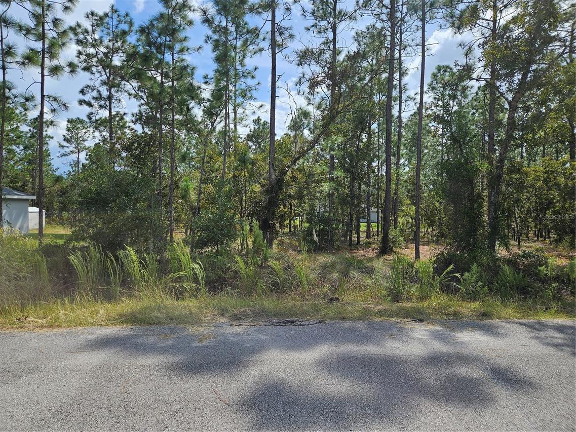 TBD NW Tamarind Ln., Dunnellon, FL 34431