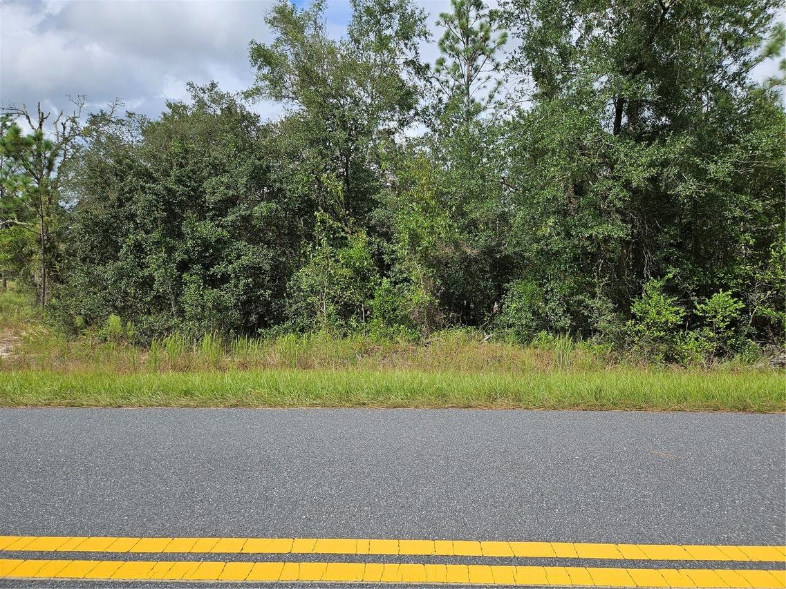 TBD SW Beach Blvd., Dunnellon, FL 34431