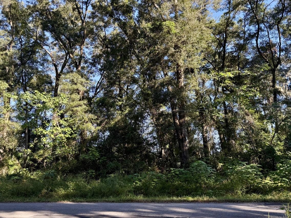 TBD NW 65th Pl., Ocala, FL 34471
