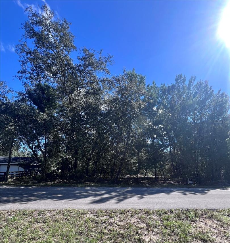 Fisher Way Tr., Ocklawaha, FL 32179