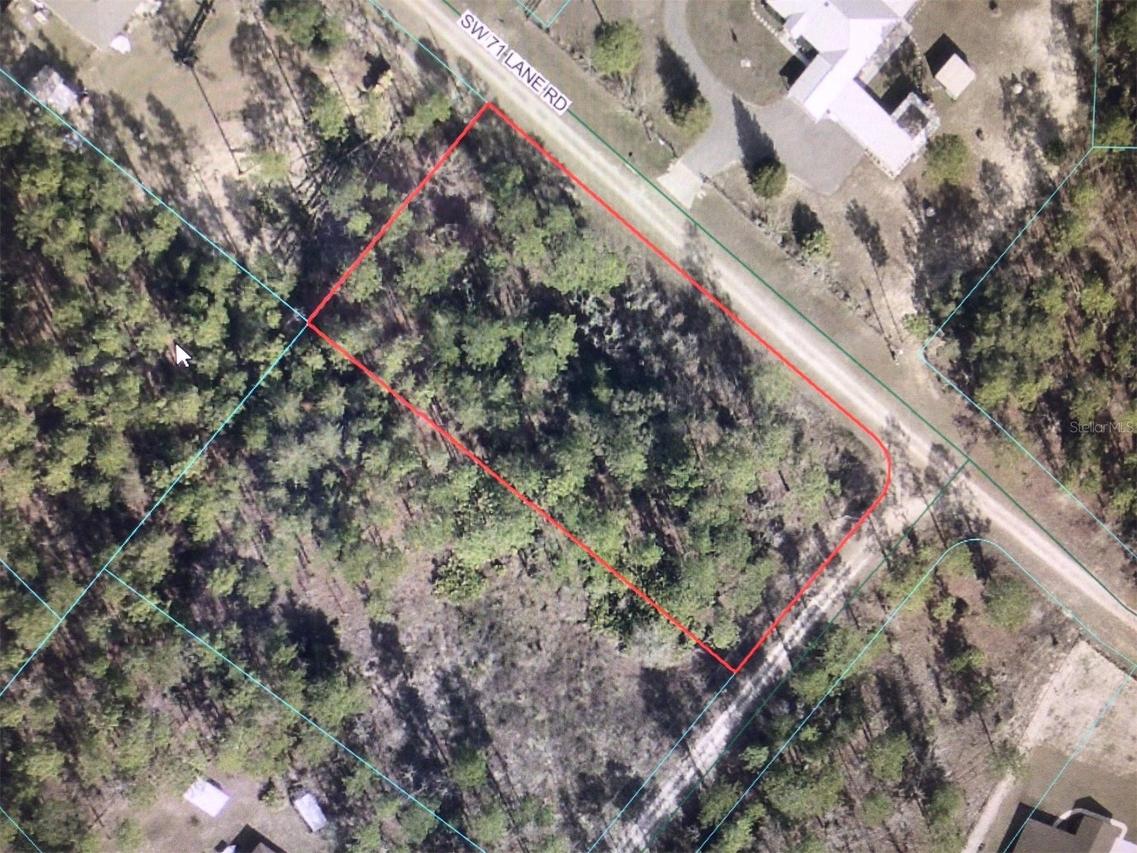 SW 125 Terrace Rd., Ocala, FL 34481
