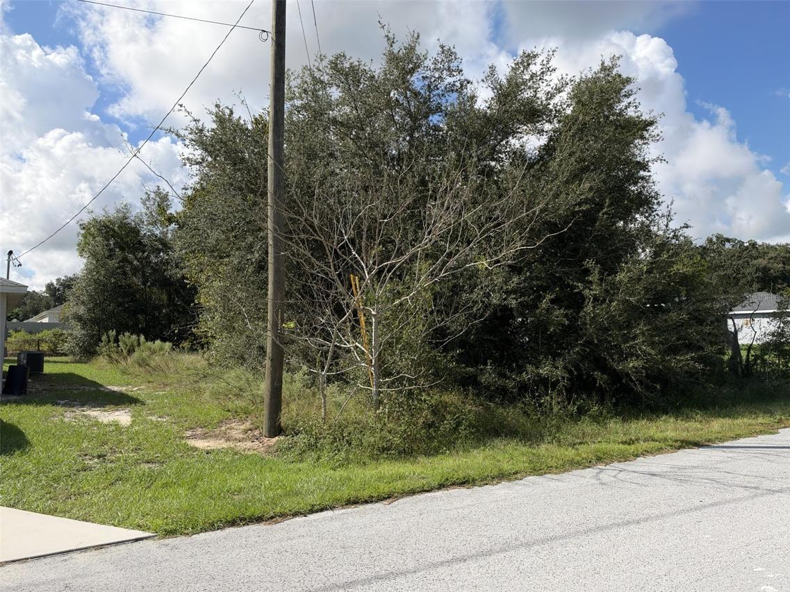 TBD SE 159th St., Summerfield, FL 34491
