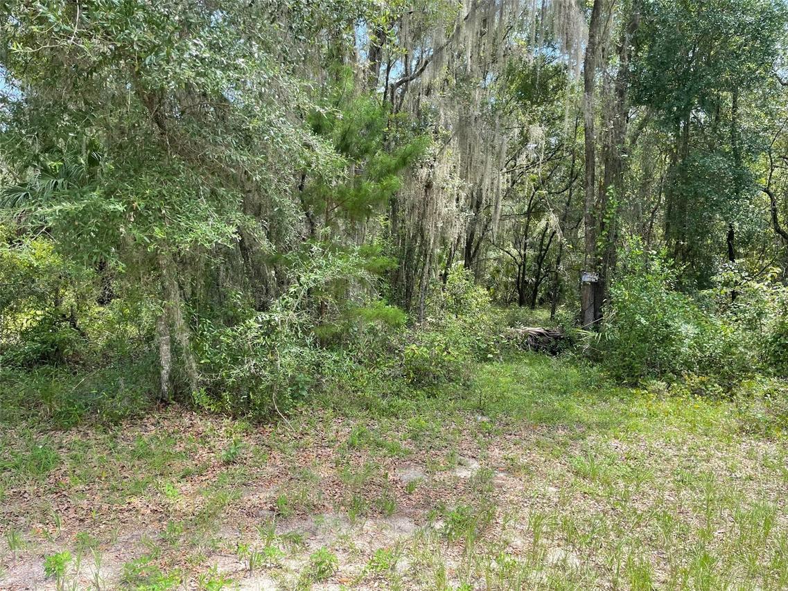 LOTS 15 & 16 SW Shorewood Dr., Dunnellon, FL 34431