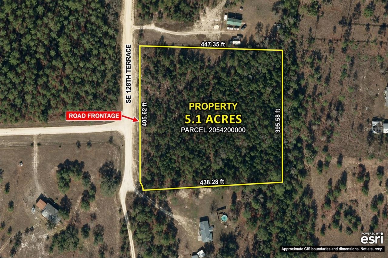 TBD SE 128th Ter., Morriston, FL 32668