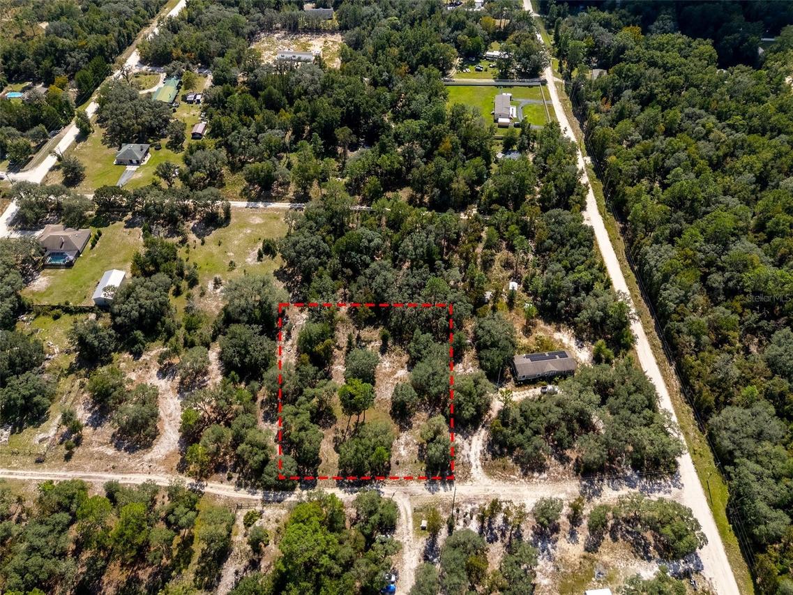 00 NE 78th Ln., Bronson, FL 32621