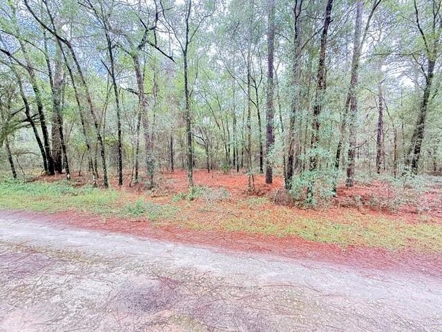 000 SW 10th Pl Pl., Ocala, FL 34481