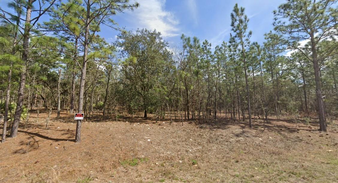 138th Ter., Ocala, FL 34473