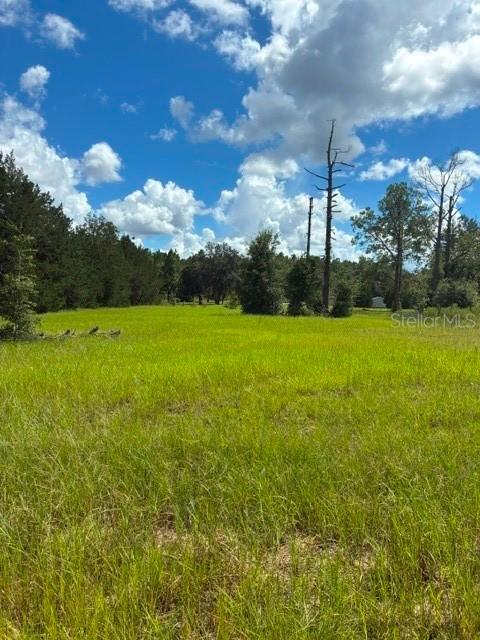 SW Cardinal Ave., Dunnellon, FL 34431