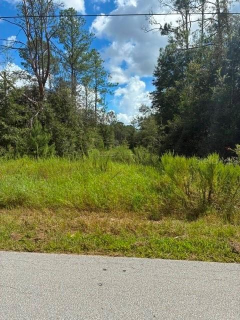 SW Cardinal Ave., Dunnellon, FL 34431
